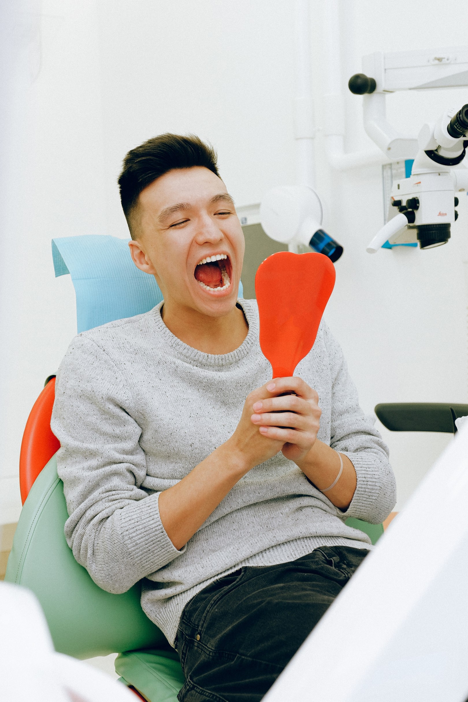 Understanding the Parts of the Mouth and Functions